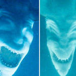 sharks_photographed_upside_down.jpg