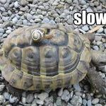 slow_squared.jpg