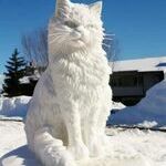 snowcat3.jpg