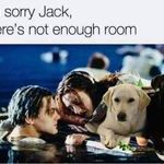 sorry_jack.jpg