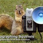 squirrel3.jpg