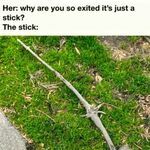 stick.jpg