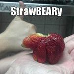 strawbeary.jpg