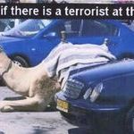 terrorist_parking_only.jpg