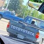 totoyotata.jpg