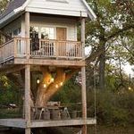 treehouse4.jpg