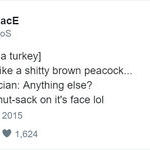 turkeys.jpg