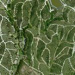 vineyards_in_huelva_spain.jpg