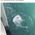 welcometomyocean.jpg